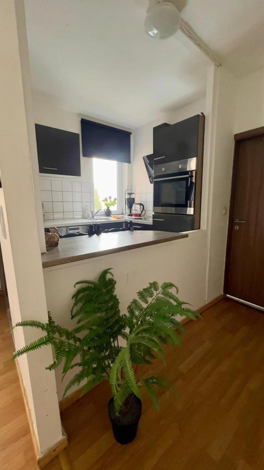 Praktische City Apartments Direkt Am Hauptbahnhof 新明斯特 外观 照片